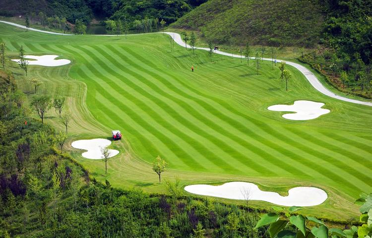 �쾰����ʯӢɰ