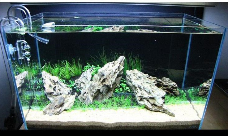 �쾰����ʯӢɰ