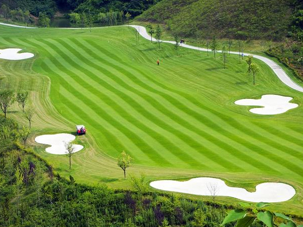 �쾰���ͼ�����׶�ͯ��԰ʯӢɰ